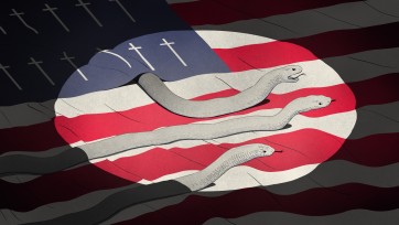 Snakes crawling on an American flag